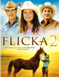  2 / Flicka 2 (2010) HD 720 (RU, ENG)