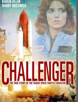  / The Challenger (2013) HD 720 (RU, ENG)