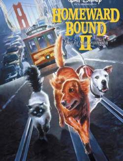   2:   - / Homeward Bound II: Lost in San Francisco (1996) HD 720 (RU, ENG)