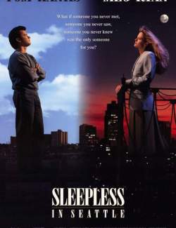    / Sleepless in Seattle (1993) HD 720 (RU, ENG)
