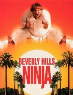     / Beverly Hills Ninja (1997) HD 720 (RU, ENG)