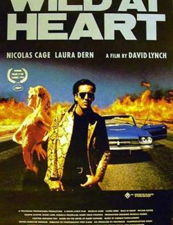   / Wild at Heart (1990) HD 720 (RU, ENG)