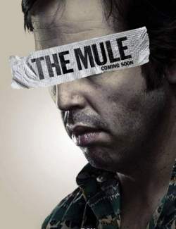  / The Mule (2014) HD 720 (RU, ENG)